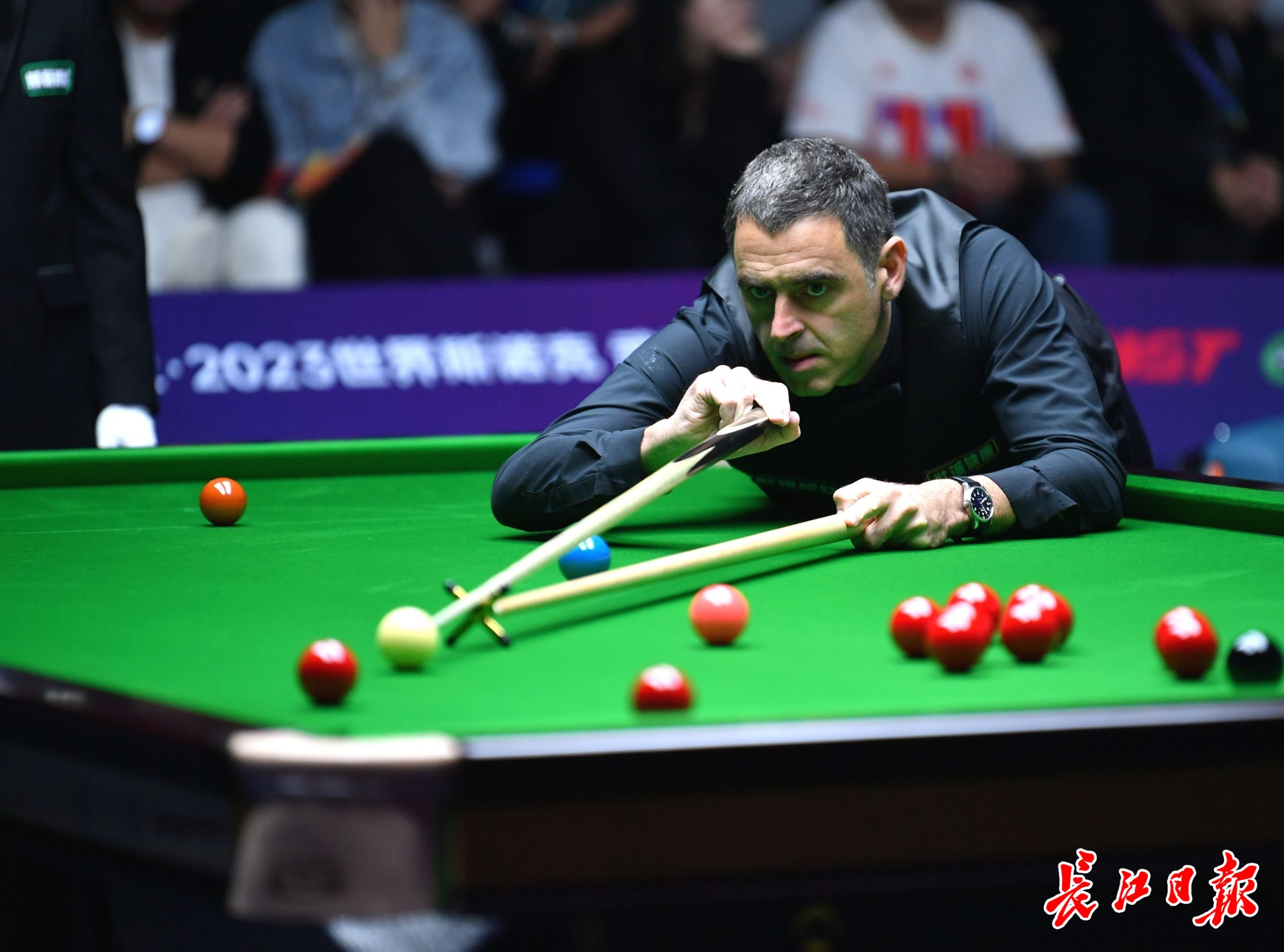 域的代表 域的代表