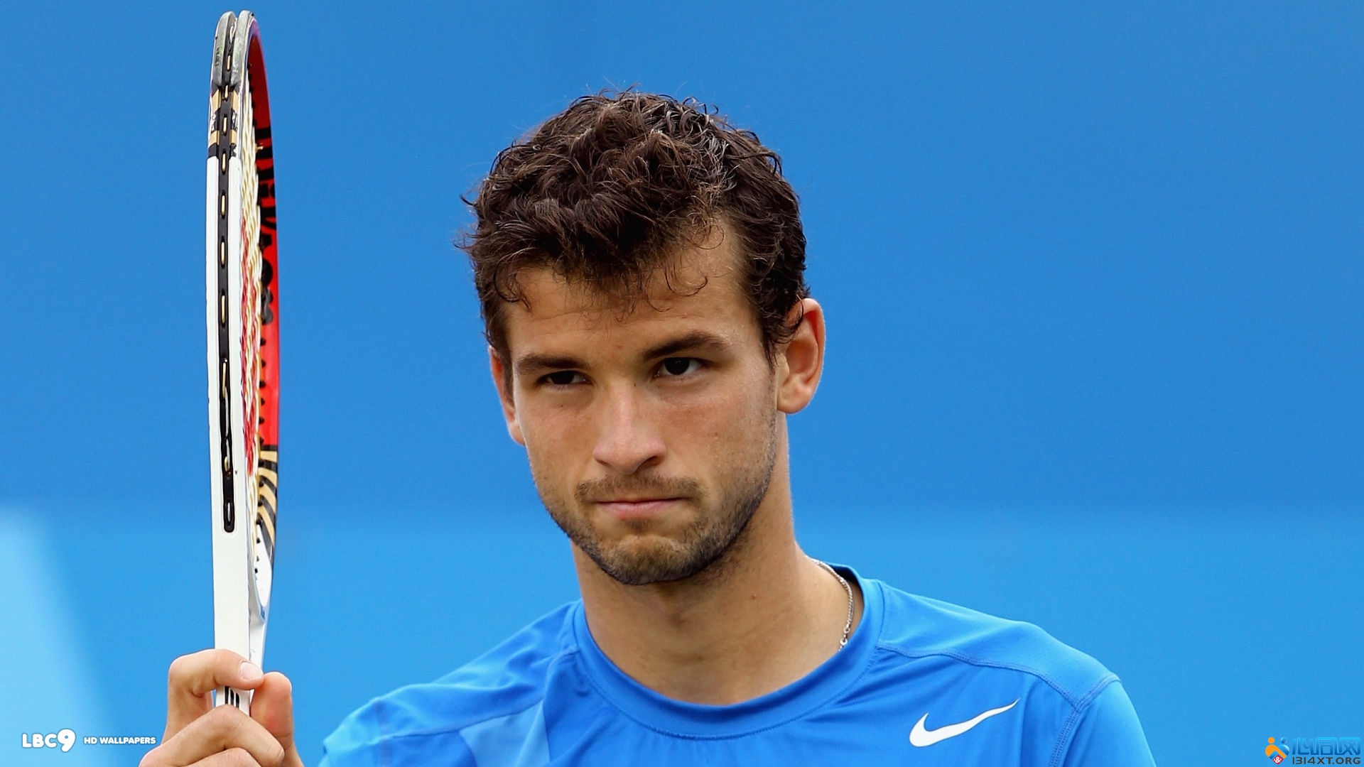 在西班牙国 在西班牙国