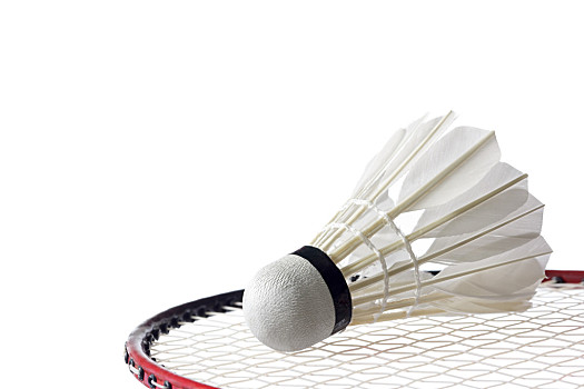 我国赛艇选 我国赛艇选