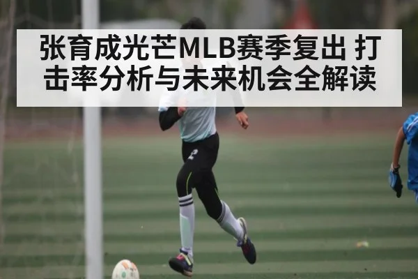 张育成光芒MLB赛季复出 打击率分析与未来机会全解读